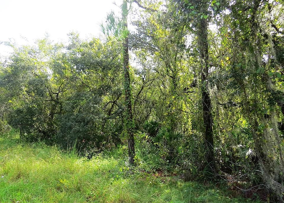 Blue Jordan Rd, Frostproof, FL 33843 MLS K4902275 Zillow