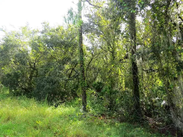 Blue Jordan Rd, Frostproof, FL 33843