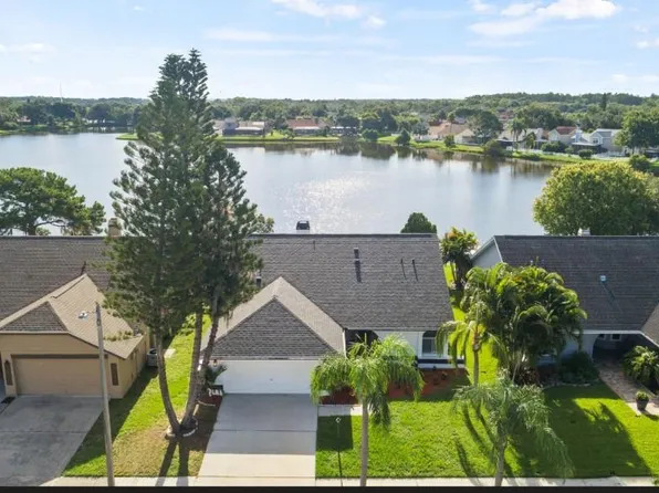 8629 Boysenberry Dr, Tampa, FL 33635