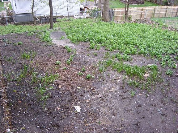 2nd image of 1325 Sylvan Ave SE