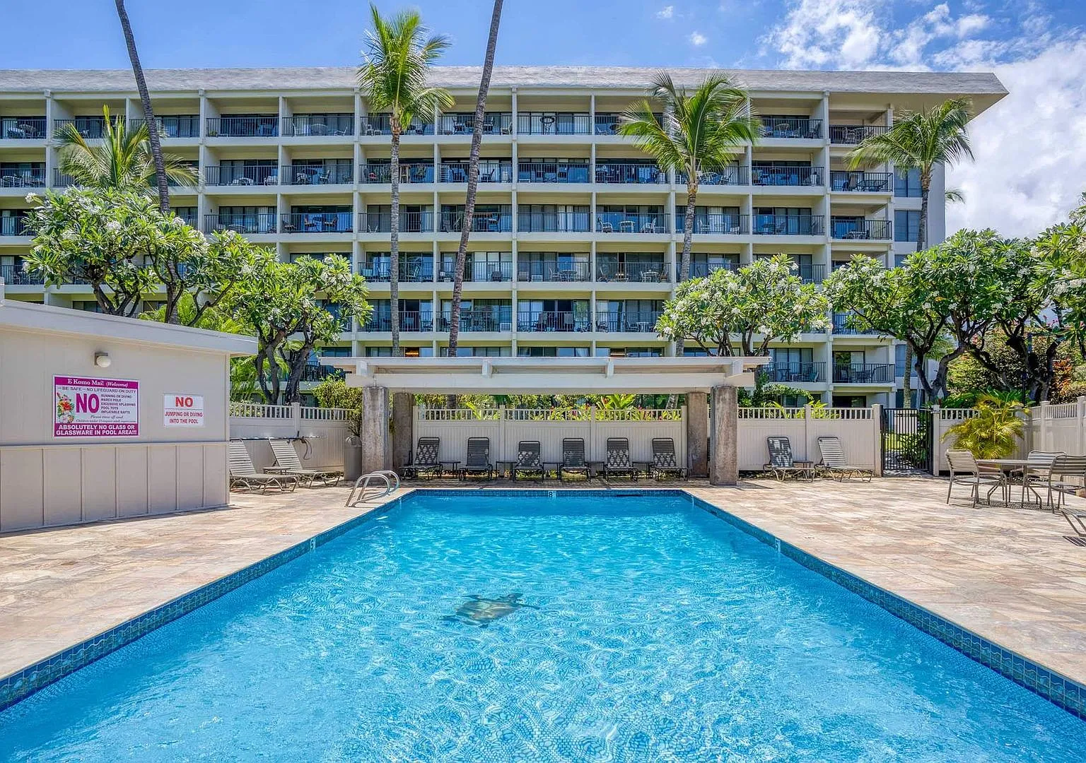 Ocean View 2/2 Fully Furnished + Newly Renovated Condo! — Photo 1