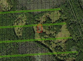 0 Commonwealth Avenue N, Polk City, FL 33868