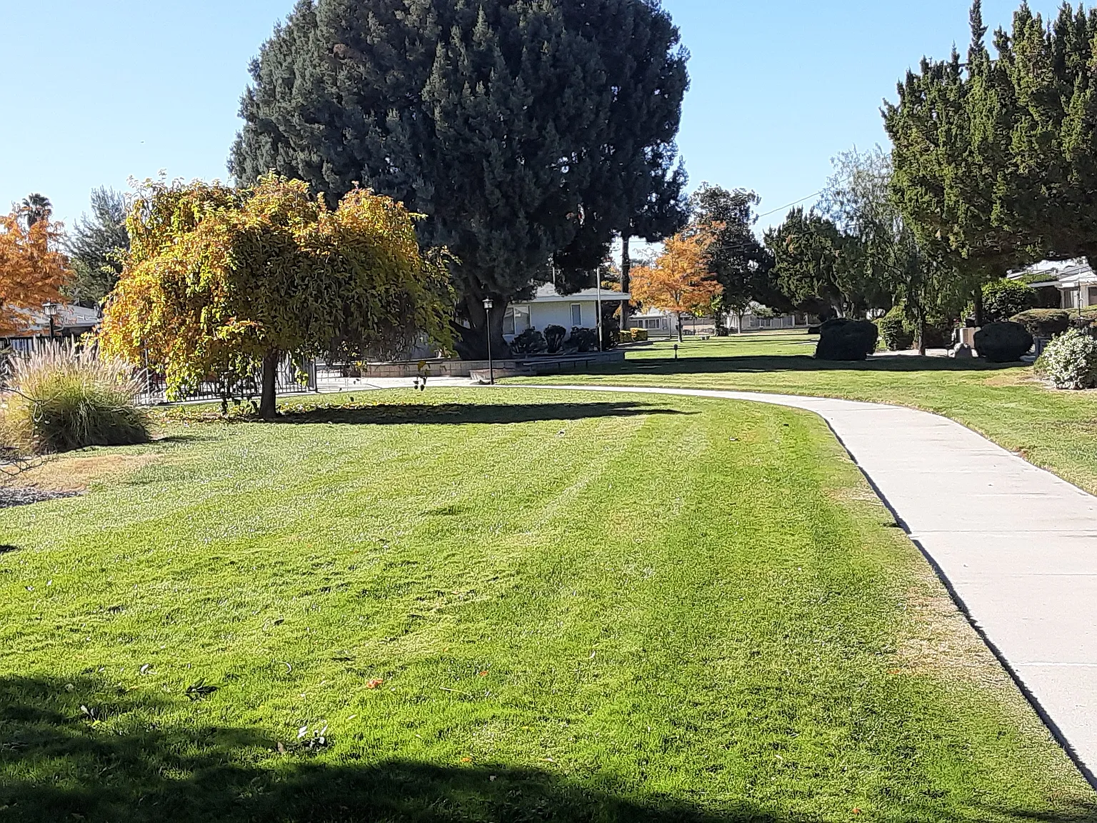2 bed, 1100 sqft, $1,750 — Photo 3