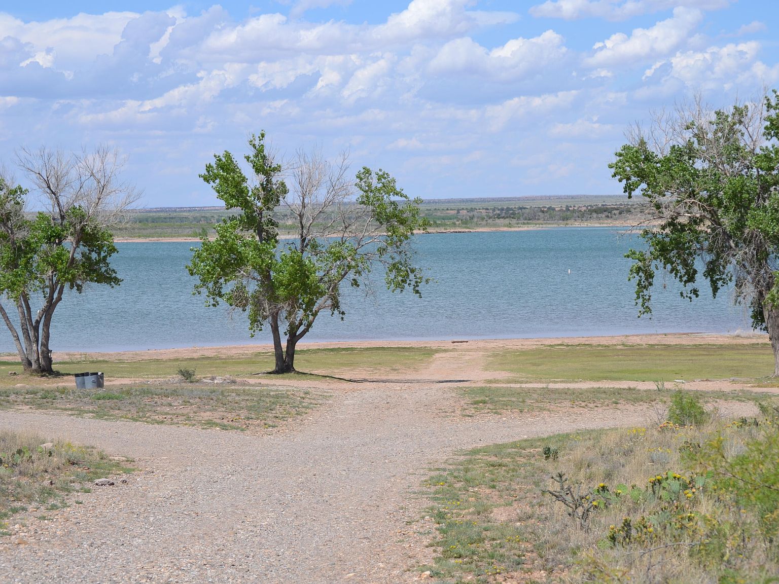 Chaparral Chaparral Crest Est, Fort Sumner, NM 88119 MLS 1034164