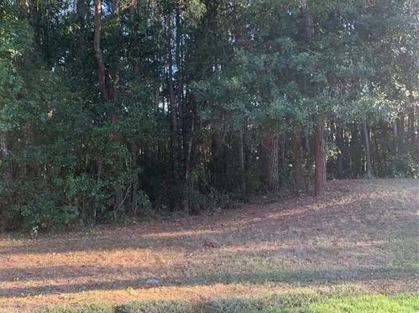 CHERRY RIDGE LOT 5, LAND O LAKES, FL 34639