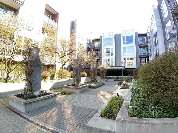 Common Courtyard - Community Socials