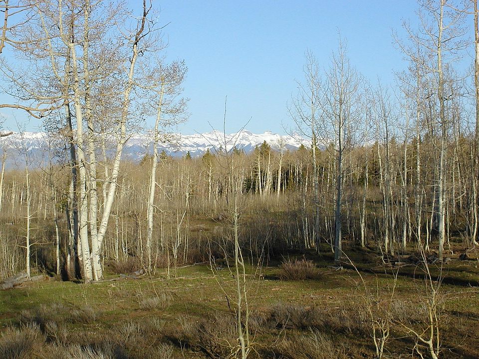 2nd image of Tbd Dave Wood Rd
