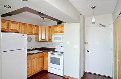 4th image of 1460 N Sandburg Ter APT 2804A