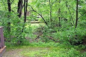 4th image of 30 White Oak Cir