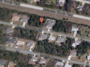 104 Bud Hollow Dr, Palm Coast, FL 32137