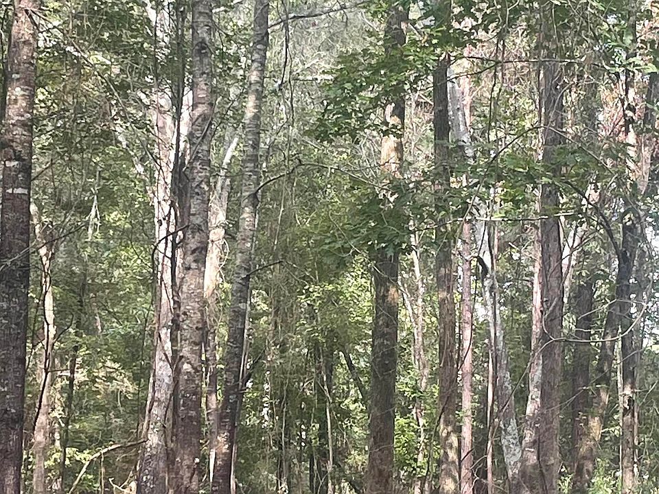 1st image of 48 Big Rock Cir