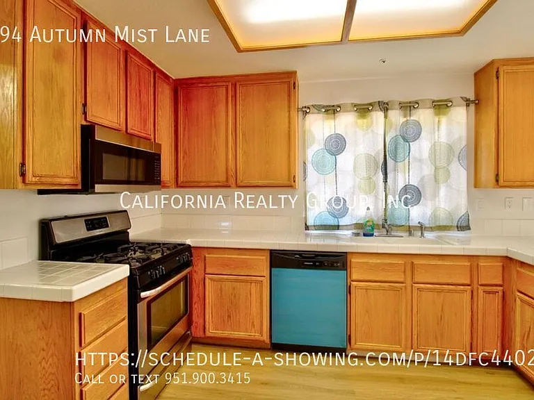 994 Autumn Mist Ln — Photo 11