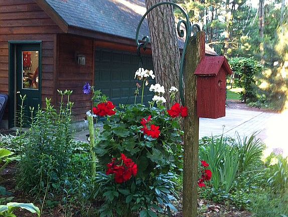 Many gardens perennial 