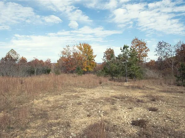0 Highway 49 Tract 1-13, Piedmont, MO 63957
