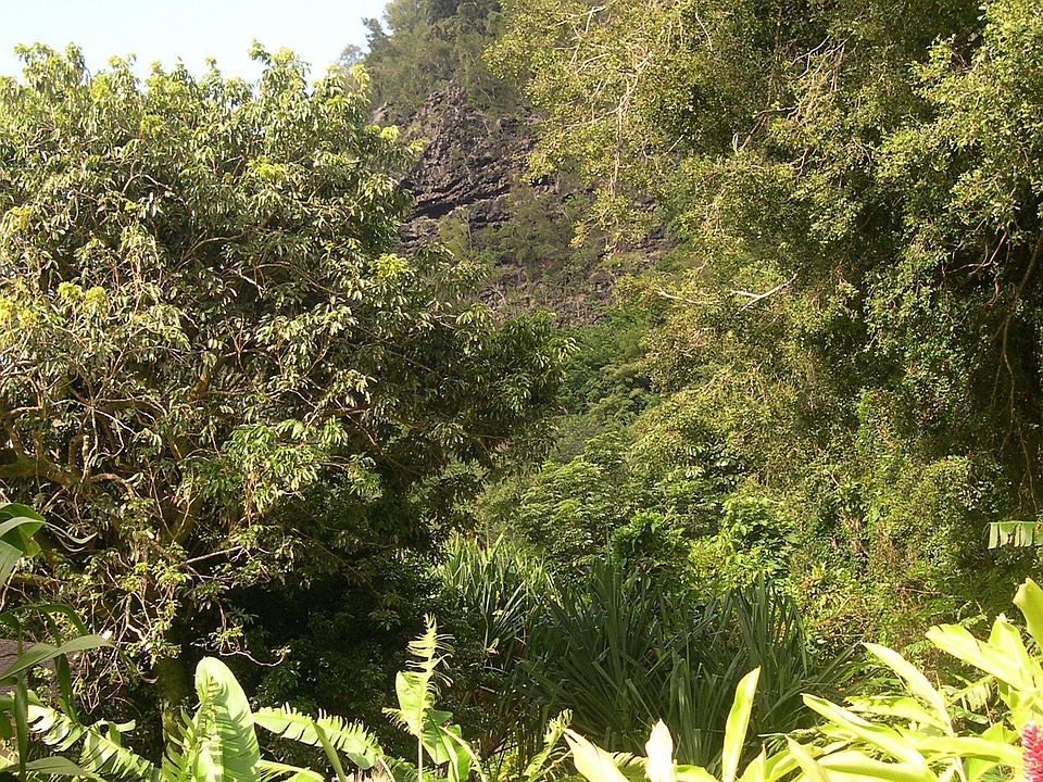 Extraordinary location to build one or two homes