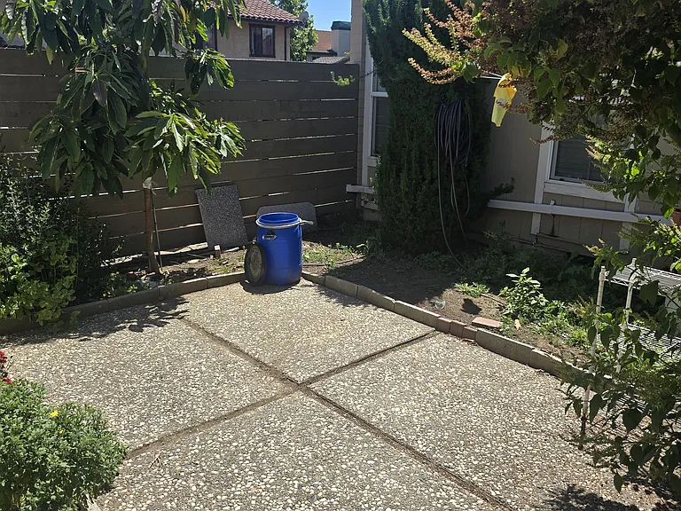 Another View of Yard