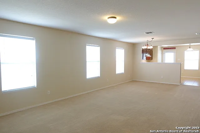 3918 Texas Hawthorn — Photo 4