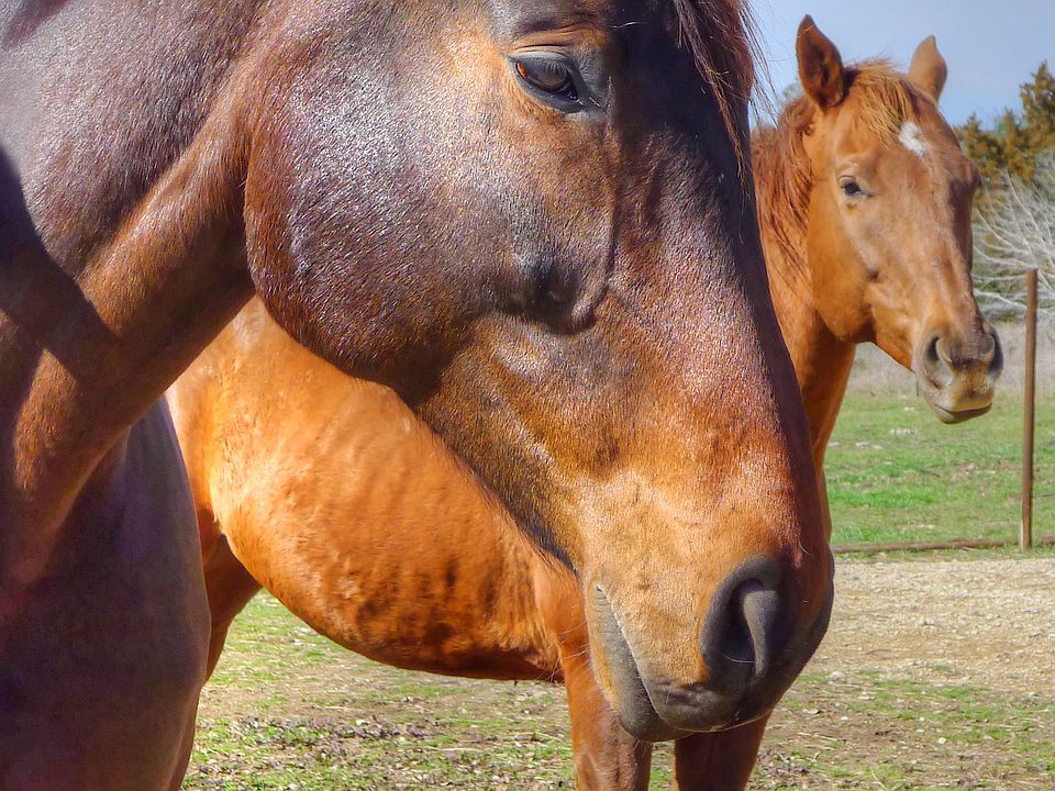 Newest member of the family