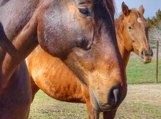 111 Young Ranch Rd, Georgetown, TX 78633