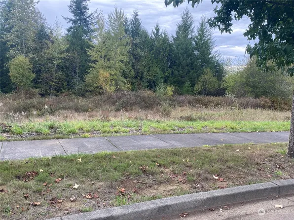 109 Hazelnut, Onalaska, WA 98570