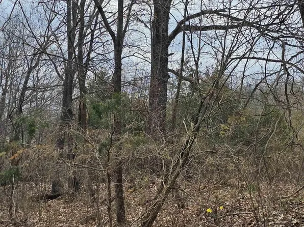 0 Willow Grove Rd, Harrisburg, IL 62946