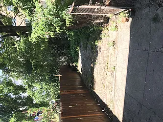 Rented by Bridge Realty