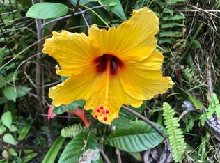 Koloa Maoli Road Rd #9-LOT 5341, Mountain View, HI 96771