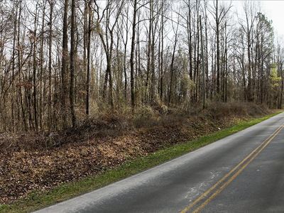 0 Swan Bridge Rd, Talking Rock, GA, 30175
