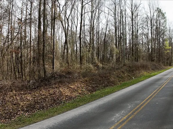 0 Swan Bridge Rd, Talking Rock, GA 30175