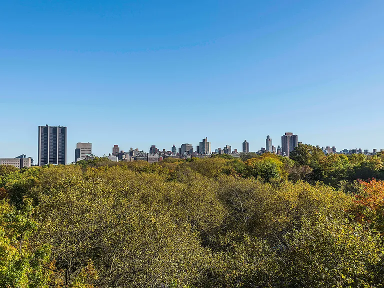 392 Central Park W #8P — Photo 6