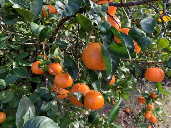 45860 Calle Cuero #19, Temecula, CA 92590