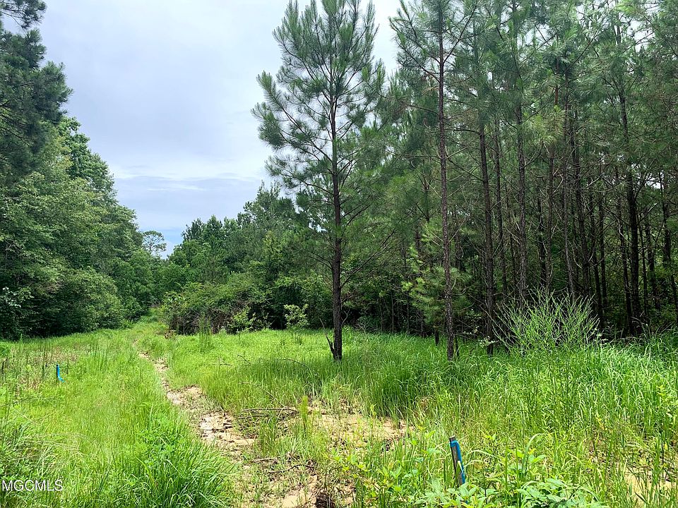 2nd image of Shaw Rd