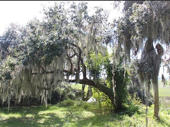 4th image of 353 Main Street