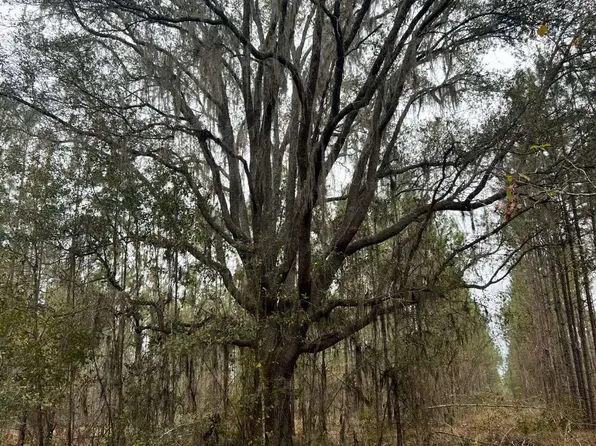 0 SW Catherine Ln #B, Lake City, FL 32025