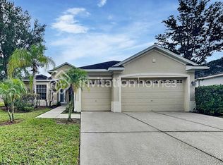 3204 Hanging Vine Ct, Land O Lakes, FL 34639