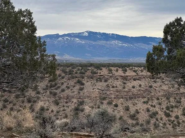 18858 Rocky Road Trail, Montrose, CO 81403