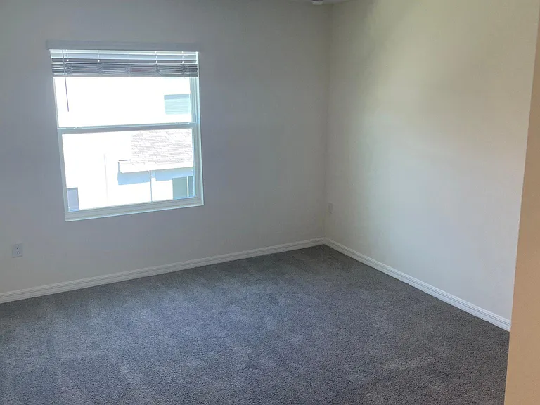 2909 Flowering Moss Run — Photo 16