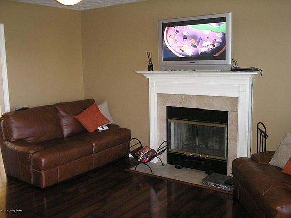 Living Room fireplace