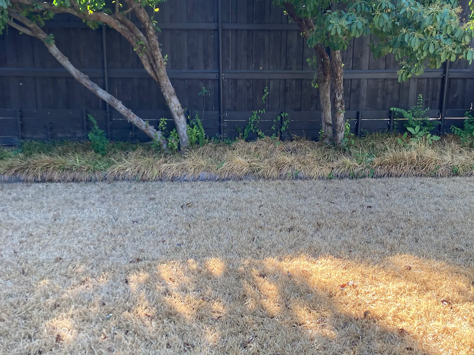 Vickery Blvd, Dallas — Photo 2