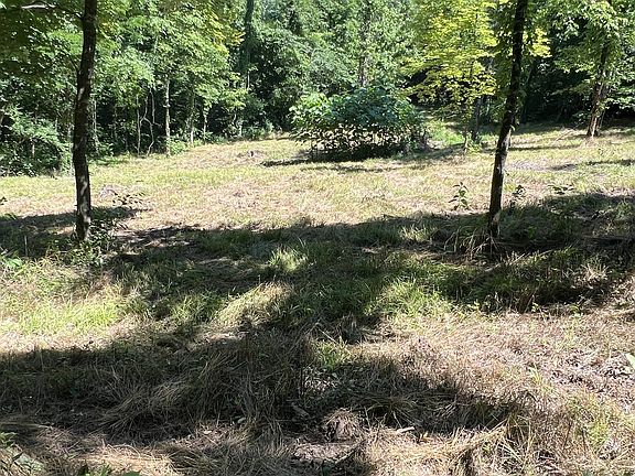 2nd image of 0 Horseshoe Bend Ln Lot 2