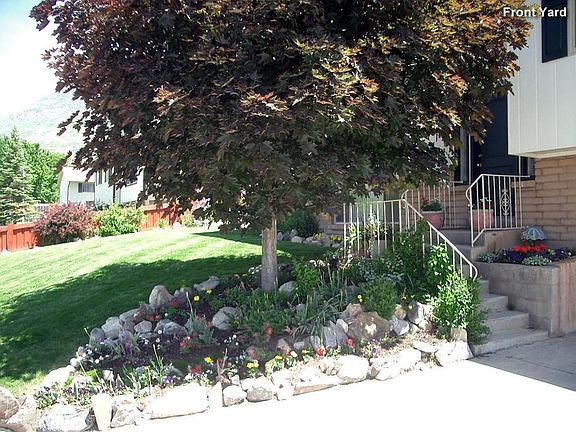 Front Yard