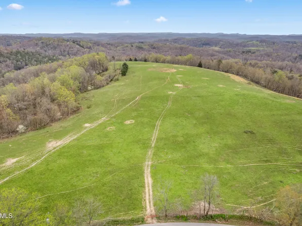 Country Oaks Ln, Lafollette, TN 37766