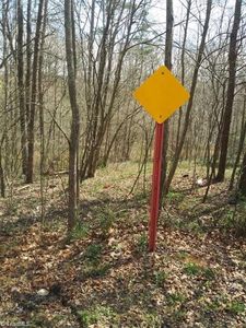 0 Cedar Springs Rd, Randleman, NC, 27317