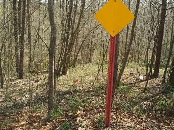 0 Cedar Springs Rd, Randleman, NC 27317