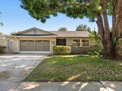 4991 Tangerine Ave, Winter Park, FL, 32792