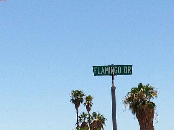 5th image of 99100 Flamingo Dr