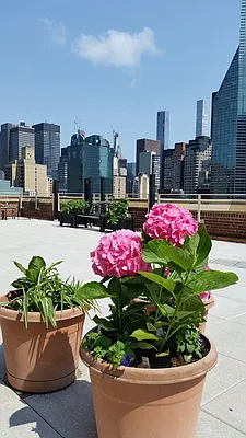 Sold by Corcoran | media 9