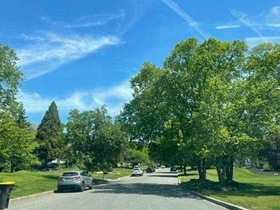 Exterior Neighborhood (street photo)