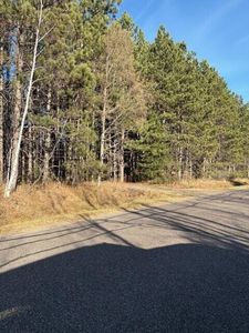 10030 West MOOSE LAKE ROAD, Hayward, WI, 54843