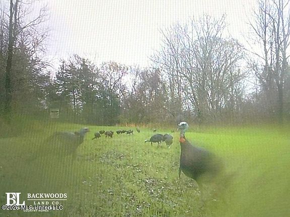 3rd image of 0 Philips Rd